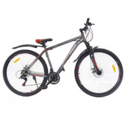 Велосипед 29 Nameless A295D-GR/RD, серый/красный