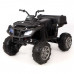 Электроквадроцикл детский Grizzly Next 45401 (Р) черный