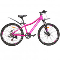 Велосипед 24 Nameless J4100DW-PR/GR-13(21) , фиолетовый/серый